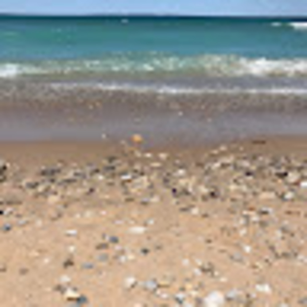 Meet your Posher, Sutton